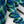 Calipso 300 v.3. tênis branco. Cadarços azuis multicoloridos